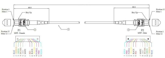 MTP MPO TRUNK CABLE.jpg