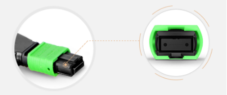 8Fibers MTPMPO Serat Serat Kabel Perempuan Loopback 2138.png