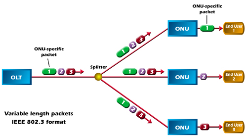 PON network(EPON and GPON)